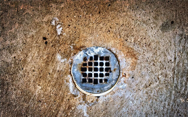 https://blockeddrainsduncraig.com.au/uploads/2025/07/blocked-shower-drains-20432.jpg