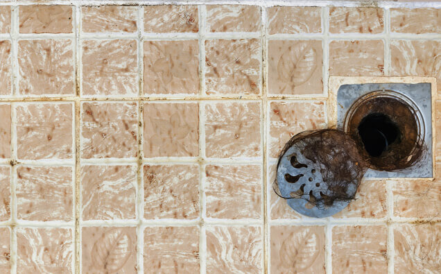 https://blockeddrainsduncraig.com.au/uploads/2025/07/blocked-shower-drains-91576.jpg