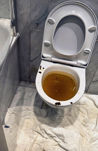 https://blockeddrainsduncraig.com.au/uploads/2025/07/blocked-toilet-27793.jpg