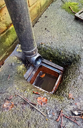 https://blockeddrainsduncraig.com.au/uploads/2025/07/hero-blocked-sewers-10934.jpg